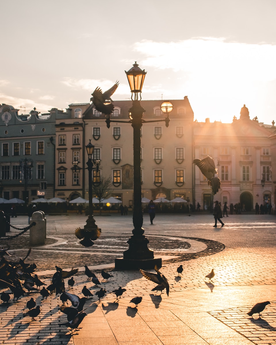 people walking on park near building during sunset